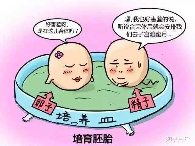 卵泡质量差，赠卵试管供卵三代辅助受孕。