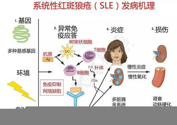 囊胚移植后二超通过了三超是不是就安全了