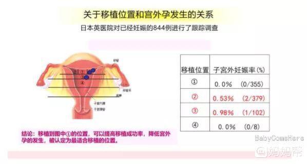 惠州哪家医院可以做借卵供卵试管婴儿借卵试管费用和成功率如何