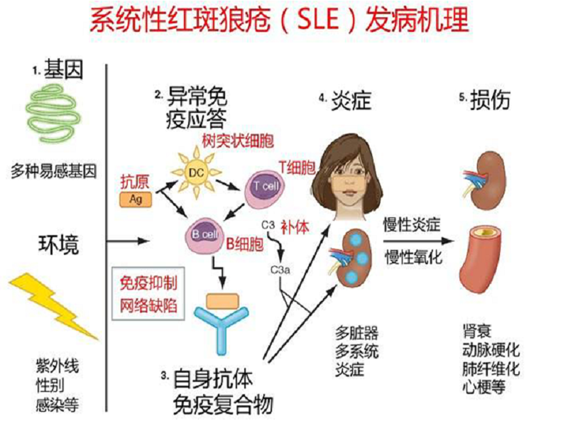 借卵做试管哪里自怀双胞胎减胎有风险吗