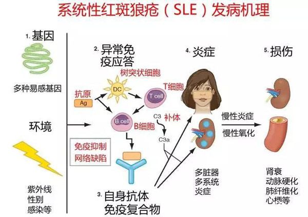 二代试管一次成功男孩多还是女孩多