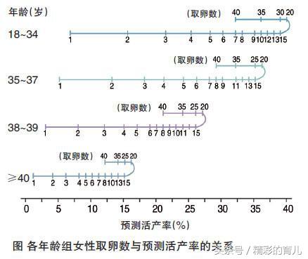 二代试管一次成功男孩多还是女孩多