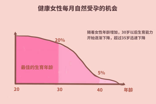 二代试管一次成功男孩多还是女孩多