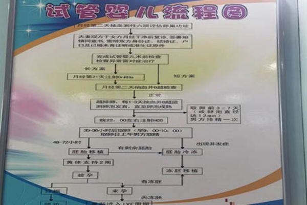 生二胎会后悔,一般聪明女人只生一个孩子是吗？