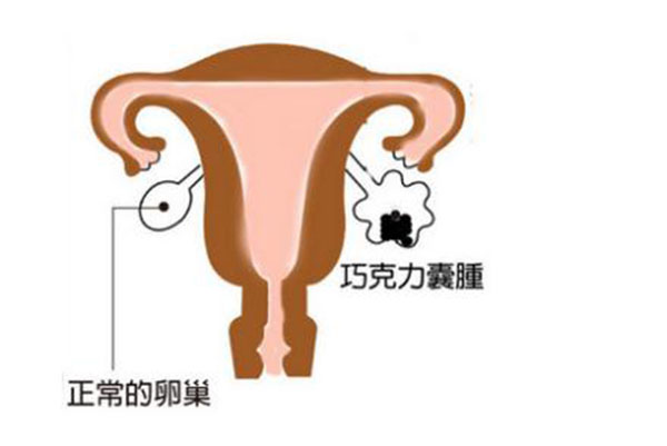 包成功、生男生女.选择合适的试管代怀性别男女生殖机构只需一招