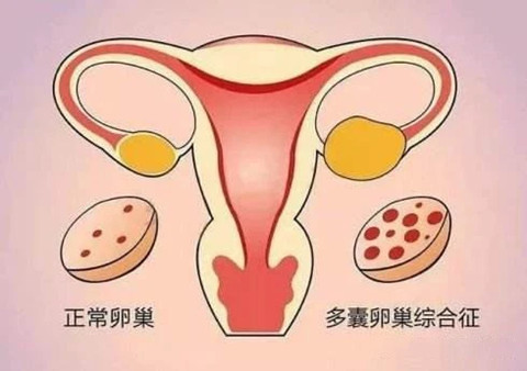 20岁始基子宫吃中药可以治疗怀孕吗（好但心今后的生育问题）